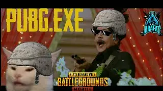 Hide & seek with noobs [PUBG.EXE]