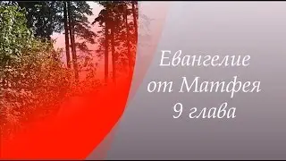 Евангелие от Матфея 9 глава