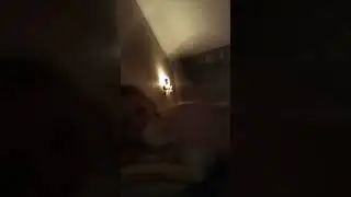 хватит мне уже своих стрей кидзов отправлять ваки ваки бум бум собаки