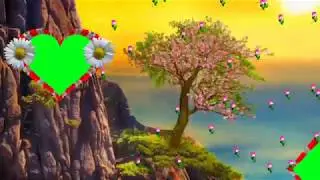 Wedding background effect   Shaadi green screen background effect
