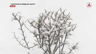Снежный понедельник. 04-03-2024