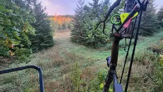 Hunting Vlog #2- 2024 Minnesota Archery Season