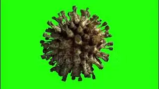 Pre Keyed Chroma Key of Coronavirus COVID-19. Realistic 3D cell animation. Green screen #covid19