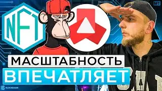 Mediacoin | Развитие | Последние НОВОСТИ