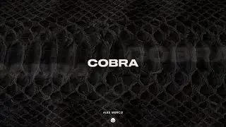 Alex Menco - Cobra / Car Music, Emotional Deep House, Dance