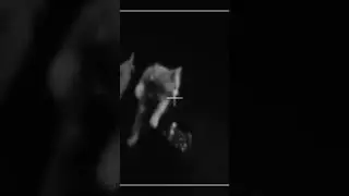 pharaoh type beat - OnTheMoon 