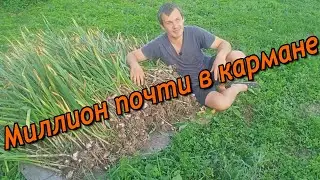 А говорили, что ничего не получится...   МИЛЛИОН ПОЧТИ В КАРМАНЕ!
