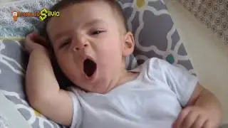 Bocejo contagioso: por que isso acontece? Por que bocejamos?