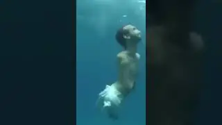 #мем