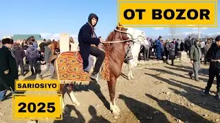 🐎 OT BOZOR SURXONDARYO SARIOSIYO PAYSHANBA OT BOZORI 6-FEVRAL 2025. 
