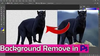 How to background remover in photoshop | how to remove background in photoshop - easy tips
