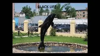 Гио Пика-   Черный Дельфин🐬🤙