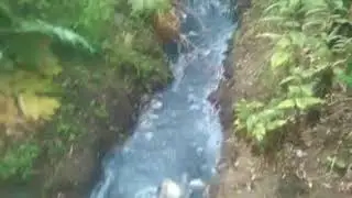 Хімічні відходи Перечинського лісохімічного комбінату стікають через потічок в річку Уж