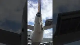 Lufthansa Airbus A319-114 significantly damaged by a ladder in Frankfurt😯✈️  