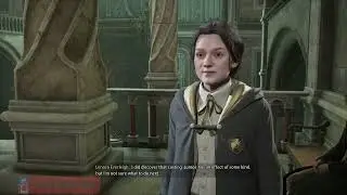 "Like a Moth to a Frame" Sidequest - Hogwarts Legacy | 1440P JackalBlender