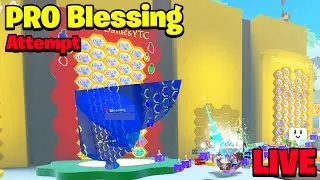PRO BLESSING BOOST ATTEMPT 🎈 STILL WAITING FOR SUN BEAR QUESTS 💀🎈 APPLIED FOR STAR CODE 🎈 BEE SWARM🎈