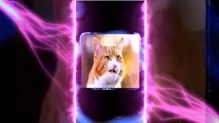PRESET AM💌 PAKE FOTO📸 DJ OLD ANJING BANGET🎶||VIRAL🔥