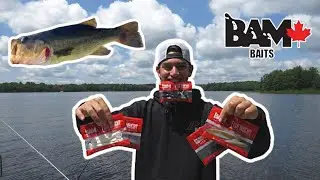 Bam Baits Bass Kit SLAM