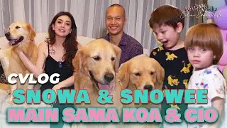 SNOWA & SNOWEE Main Sama KOA & CIO 😁 Mami Celine Diajarin BIMA ARYO