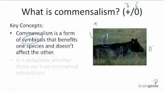 15.2.5 What is commensalism