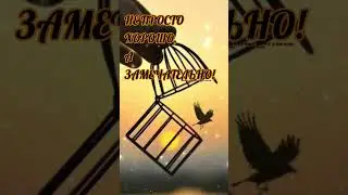 Позитив, настрой на лучшее 🤩