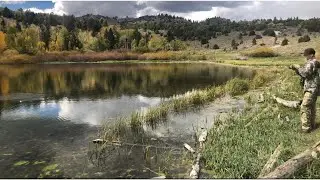High Mountain Lake | Trout Fishing!! #shorts