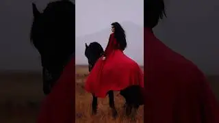 😍😍😍#horse #duet #humor #automobile #rek #love #mare #equestrian #funny #onthisday
