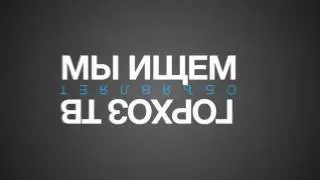Типографика