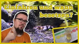 Theorie zum besetzen nach der Einfahrphase I AquaTalk