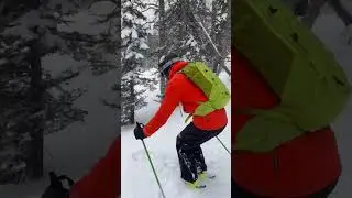 Шерегешский лес #freeride #skiing ouppps