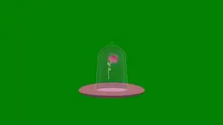 Romantic Rose Free Green Screen