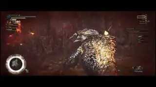 Monster Hunter World (MHW) - Kulve Taroth (9'22) - Max Level