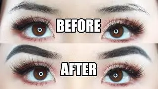 My Eyebrow Routine | Christine Du