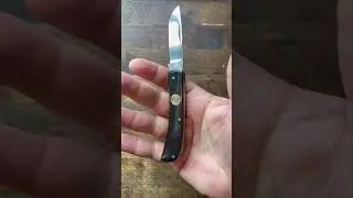 Dirt Buster Jr Buffalo Horn BUC107BH 