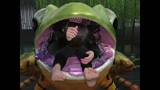 Flavia's Hungry Frog