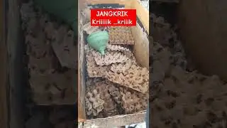 Umpan Mancing #shorts #jangkrik