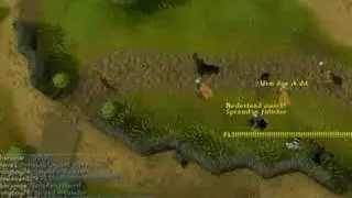 PKING IS BACK w000t!!!!!!!!!!!!