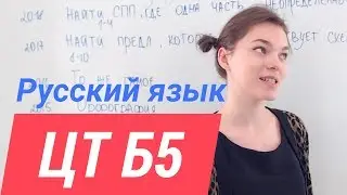 ЦТ В5. Словосочетания и предложения