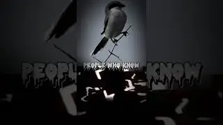 People Who Don’t Know vs. People Who Know (Bird Edition) 