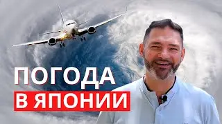 Flying in hurricanes and typhoons! Weather in Japan, seasonality, and tourism features.