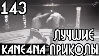 Video compilation # 143 - The musical release | [Funny videos # 143]