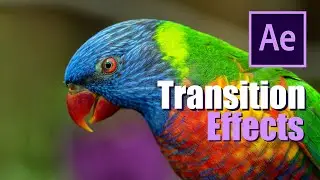 Smooth transition and text animation in the After Effects | Tutorial |
