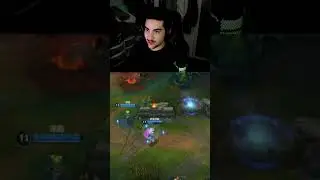 DON'T FACE CHECK THE BUSH IN WILD RIFT 