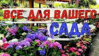Садовый центр 