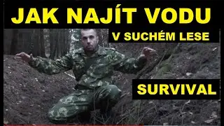 KDE NAJÍT VODU v suchém LESE ??