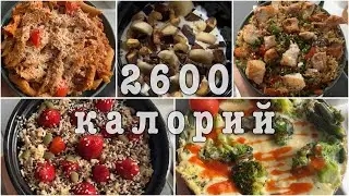 Моё Питание и Тренировки (5 сбалансированных  приема пищи и подробные рецепты)