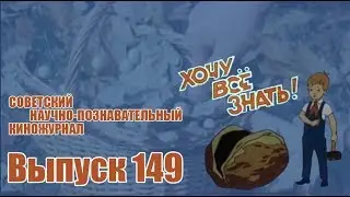 Киножурнал 