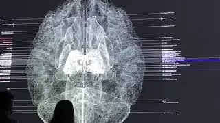RYOJI IKEDA exhibition in 180 Studios