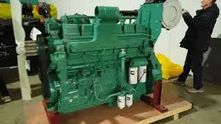 каминсы (CUMMINS)