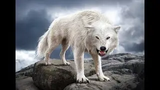 Cryptids and Monsters:  Waheela, giant wolf that stalks the Headless Valley!!
